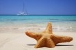 Estrella de Mar en la Playa
